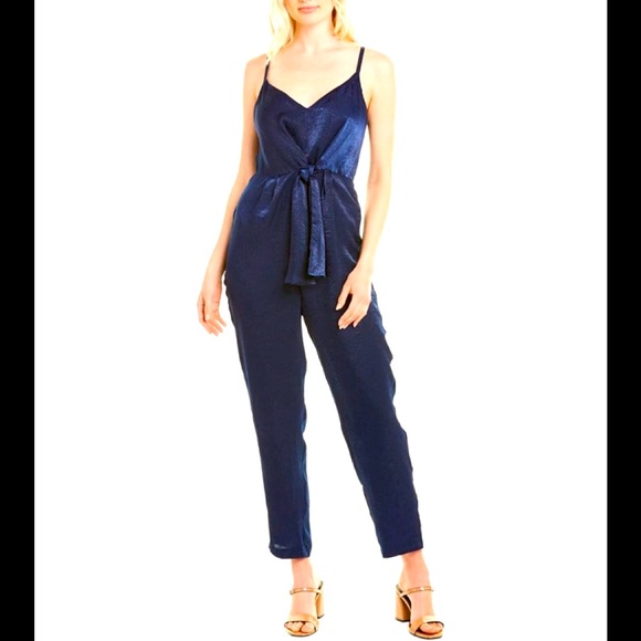 Hutch Pants & Jumpsuits Nwt Hutch Jumpsuit Poshmark